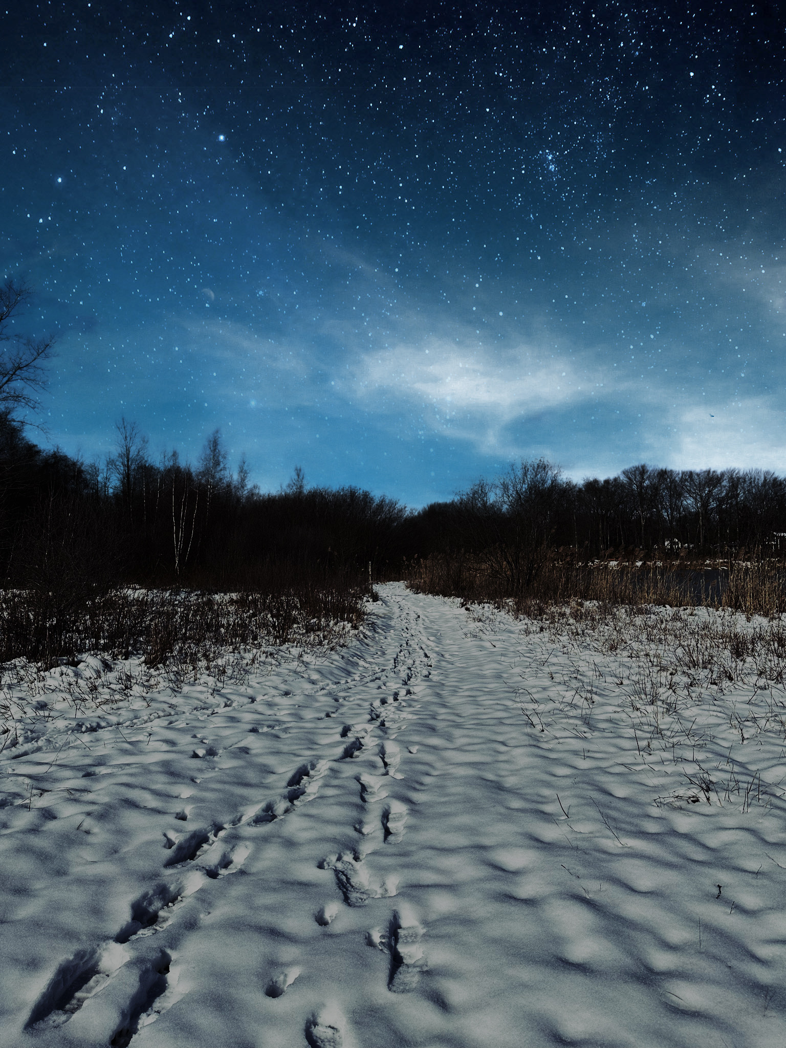 nature and landscape photo